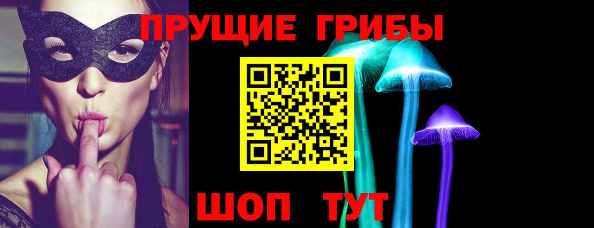 Псилоцибиновые грибы Cubensis Заринск